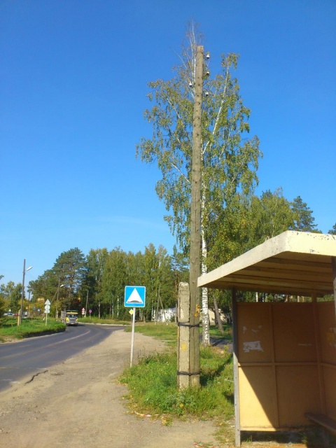 Бесхозные столбы.jpg Бесхозные столбы.jpg